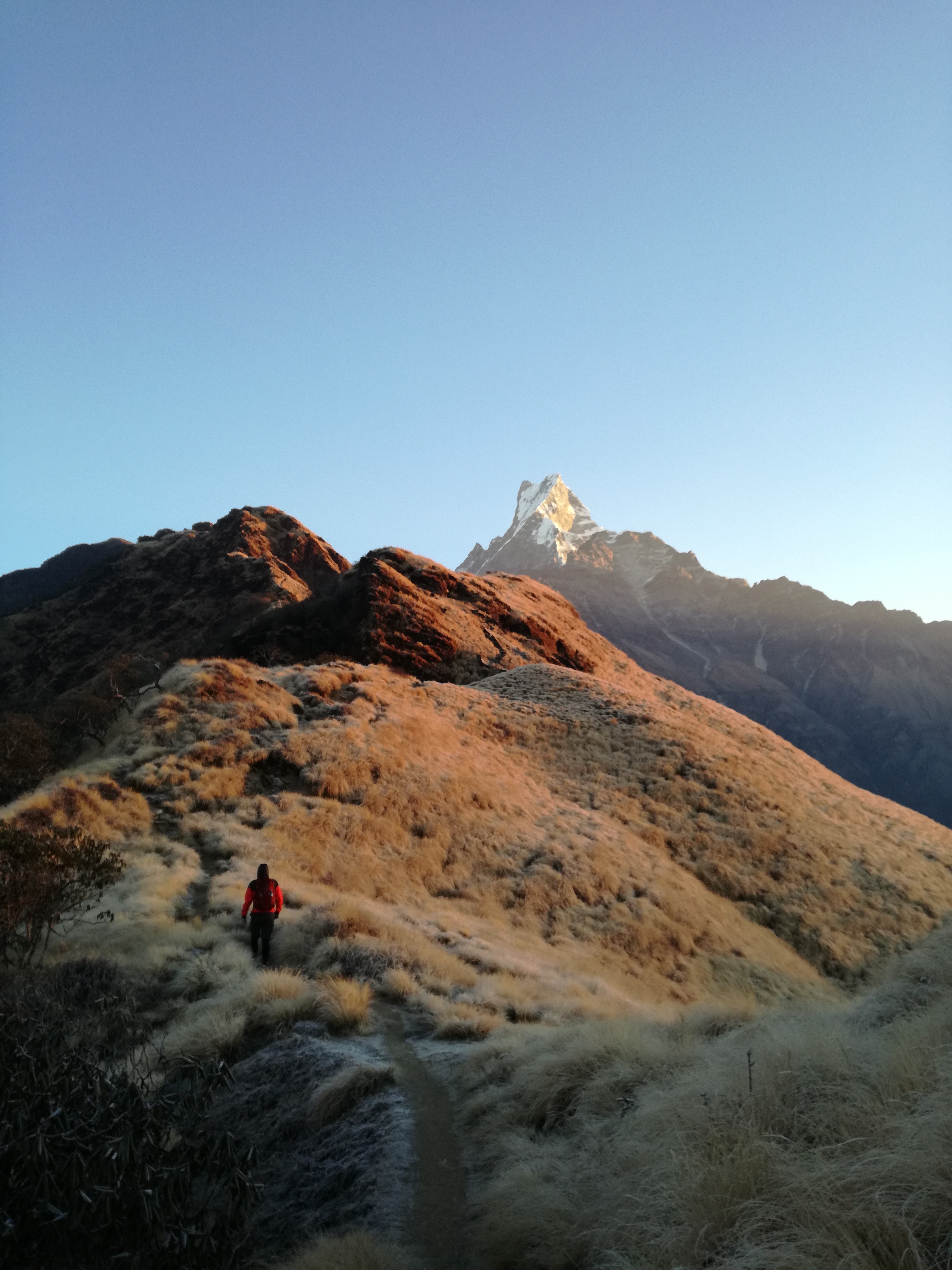 Mardi Himal trek Mardi Himal trek