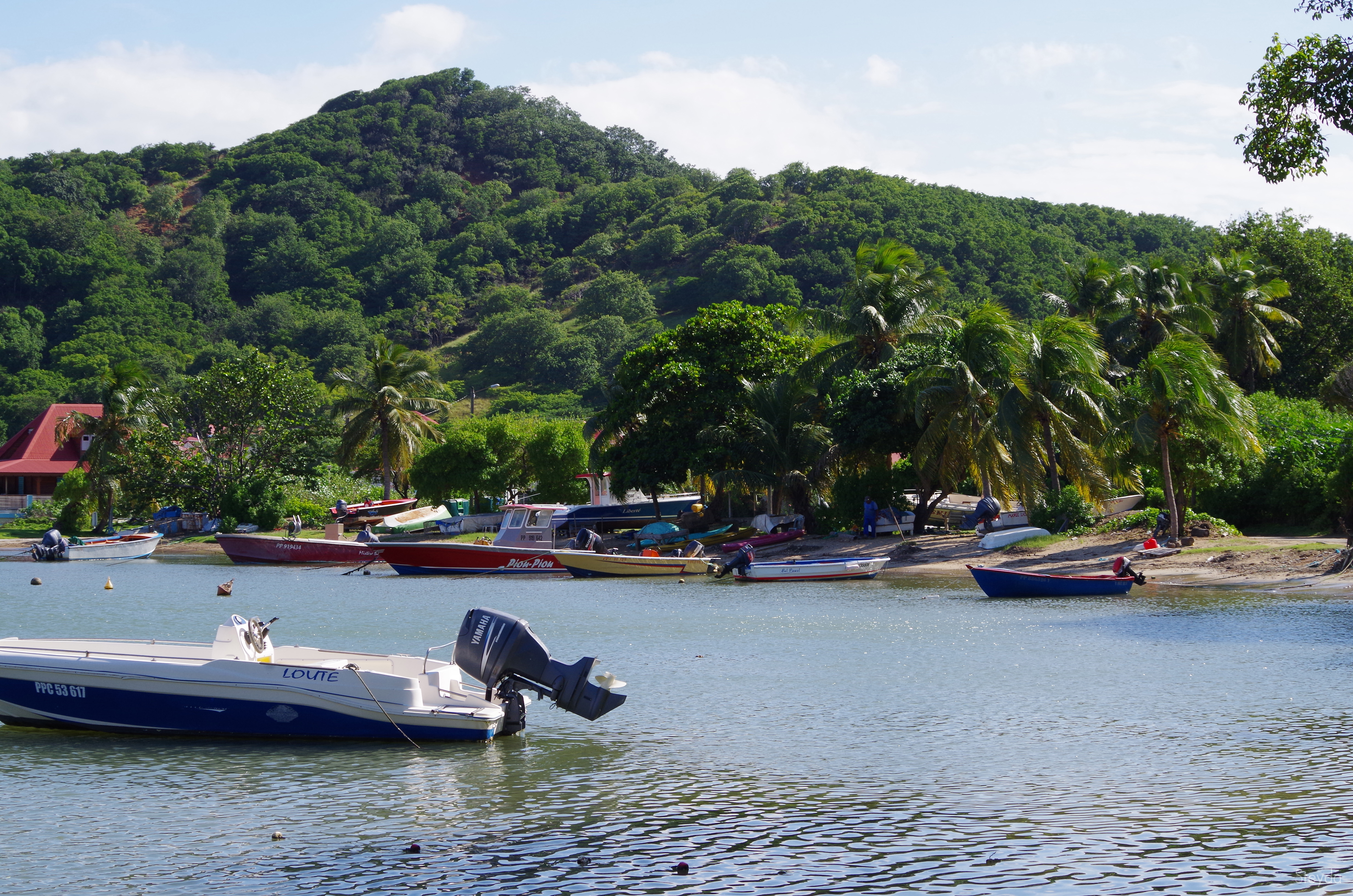 La pêche en Guadeloupe La pêche en Guadeloupe