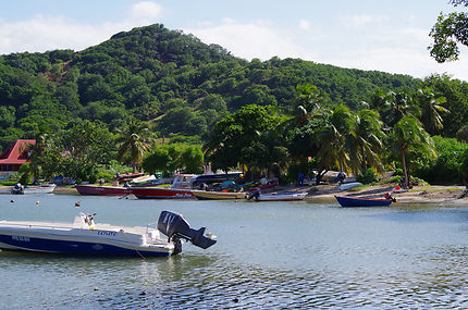 La pêche en Guadeloupe