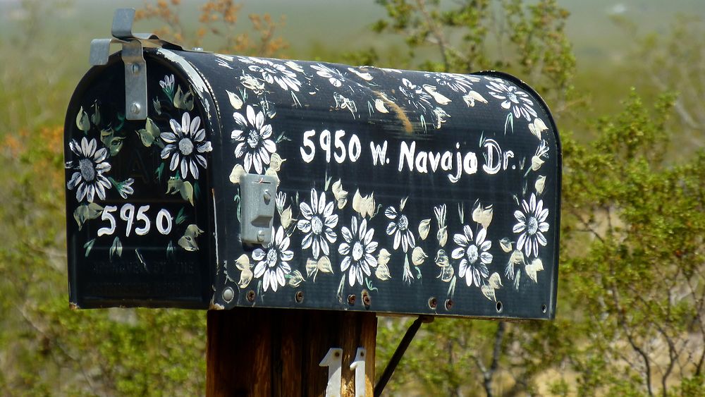 BOITE AUX LETTRES "FLOWER" ROUTE 66