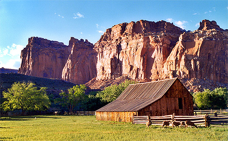 Oasis de Fruita Oasis de Fruita