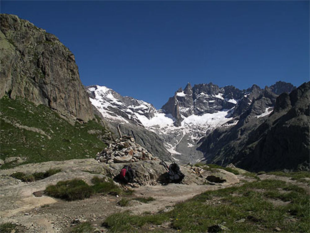 Tête de la maille