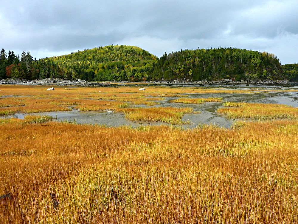 Parc National du Bic