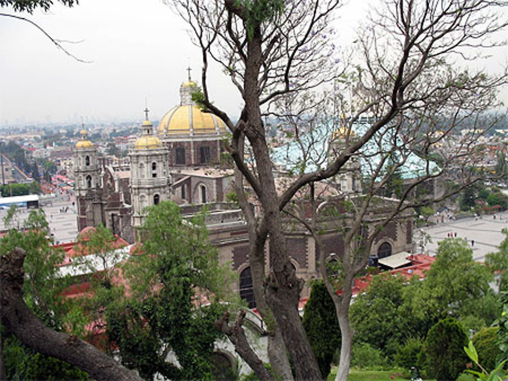 Notre Dame de Guadalupe