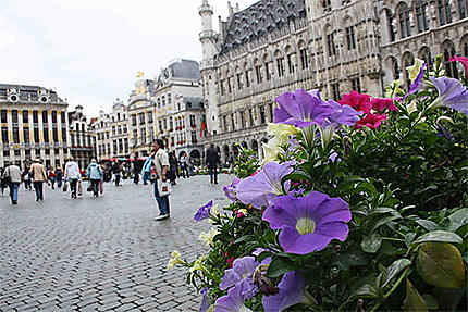 Grand Place fleuri