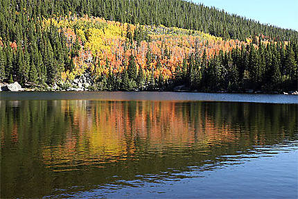 Reflets dans le lac