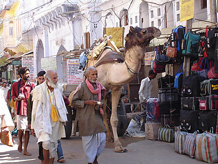 Rue de Pushkar
