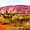 Ayers Rock - Uluru