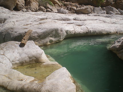 Vasques turquoises du Wadi bani Khaled