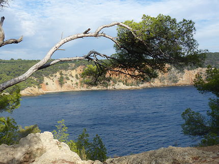 Saint-Cyr-sur-Mer