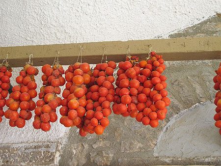 Tomates de Chios Tomates de Chios