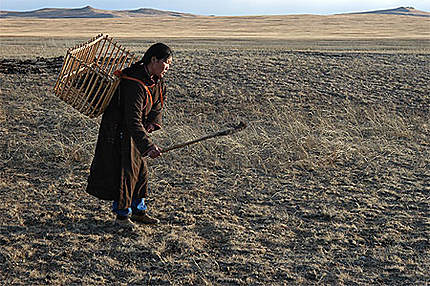 Ramasseuse d'argal dans la steppe