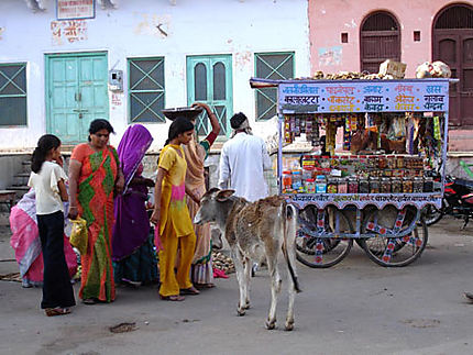 Marchand de bonbons à Pushkar