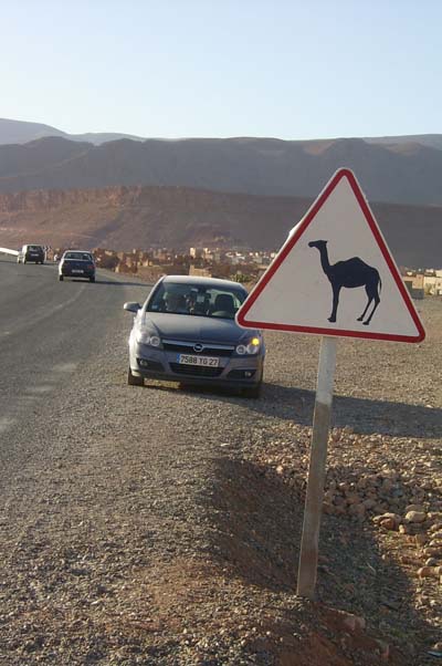 Attention traversée de dromadaire