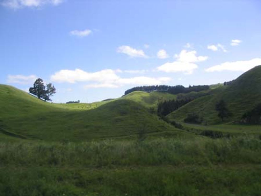 Ballade dans les collines