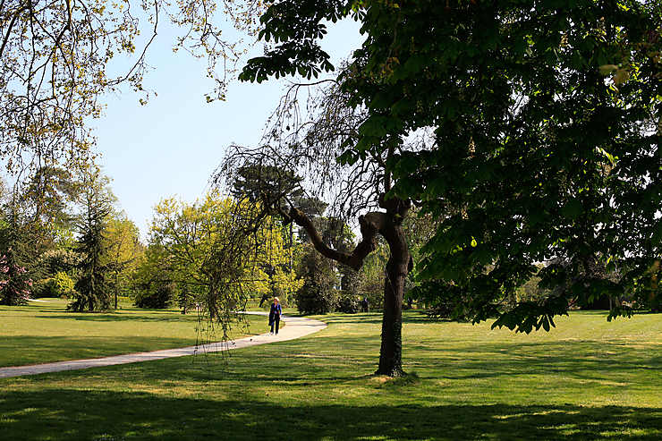 Bois de Boulogne (Paris)