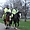 Policiers à cheval à Hyde Park