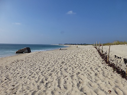 Plage à perte de vue 