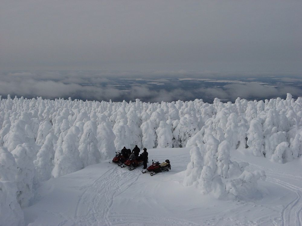 Randonnée de motoneige en Gaspésie 