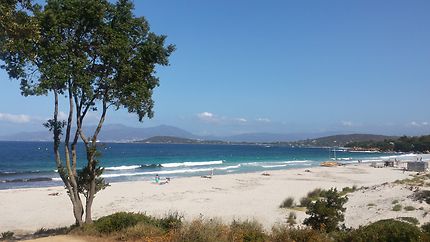 Plage De Mare é Sole Plages Mer Corse Du Sud Corse