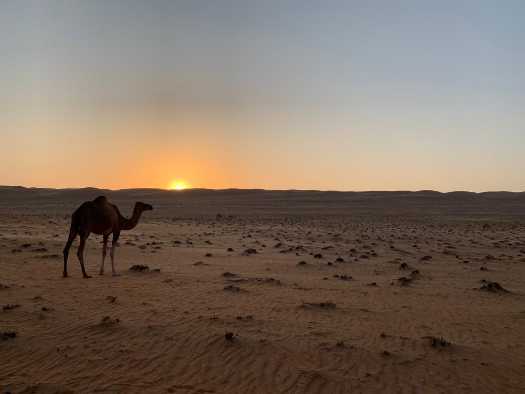 Coucher de soleil à Wahiba Sands Coucher de soleil à Wahiba Sands