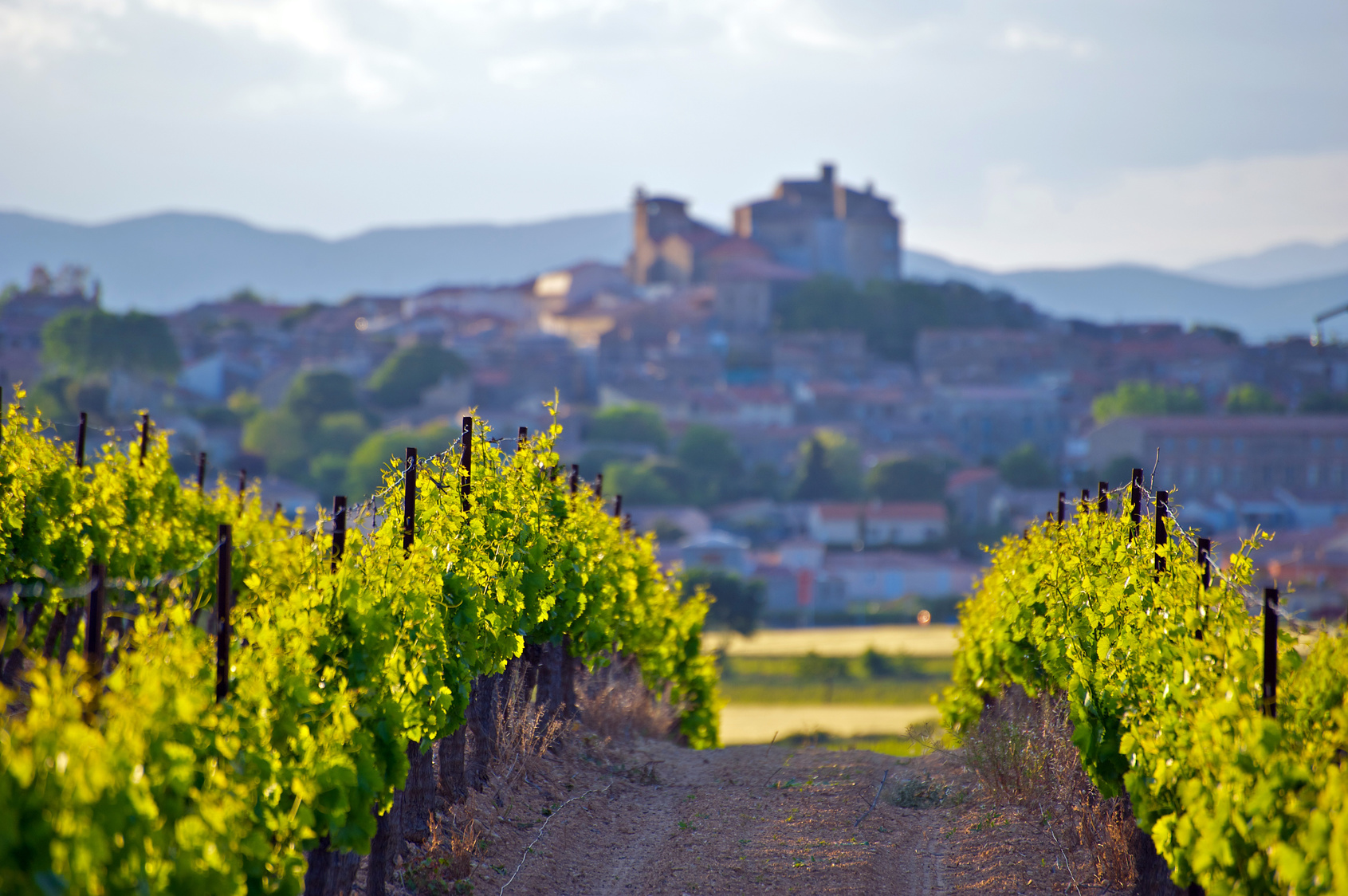 Les routes des vins en France