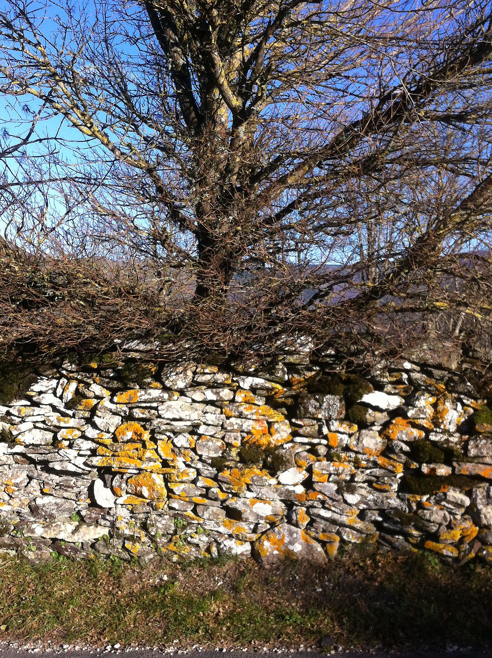 Pierre et bois à Florac en Lozère