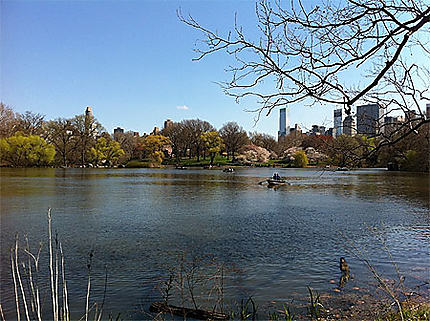 The Lake, Central Park