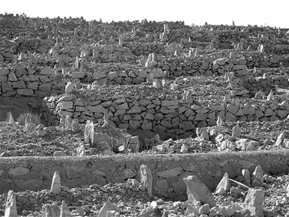 Tombes dans le cimetière de Melika