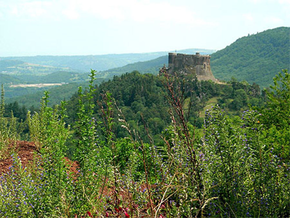 Le château de Murol