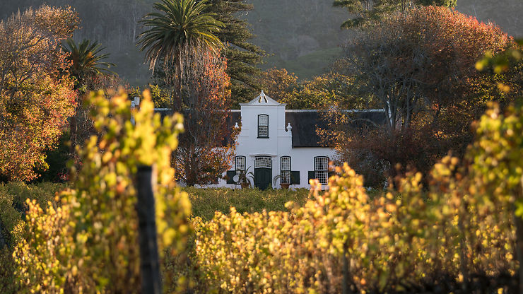 Route des vins, entre Franschhoek et Stellenbosch