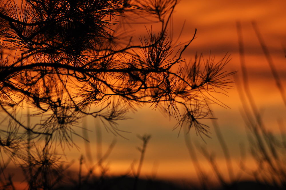 Ciel embrasé au coucher de soleil