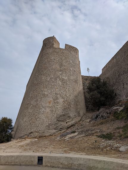 Tour de Calvi