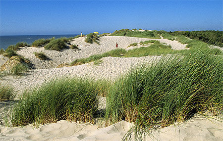 Dunes du Royon, Quend-Plage