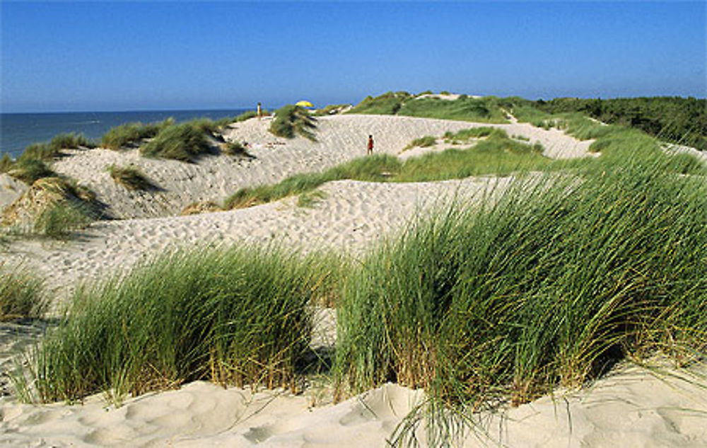 Dunes du Royon, Quend-Plage