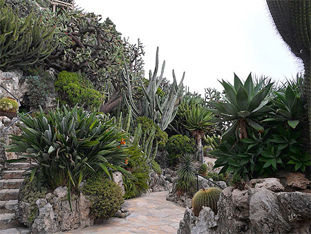 Jardin exotique Jardin exotique