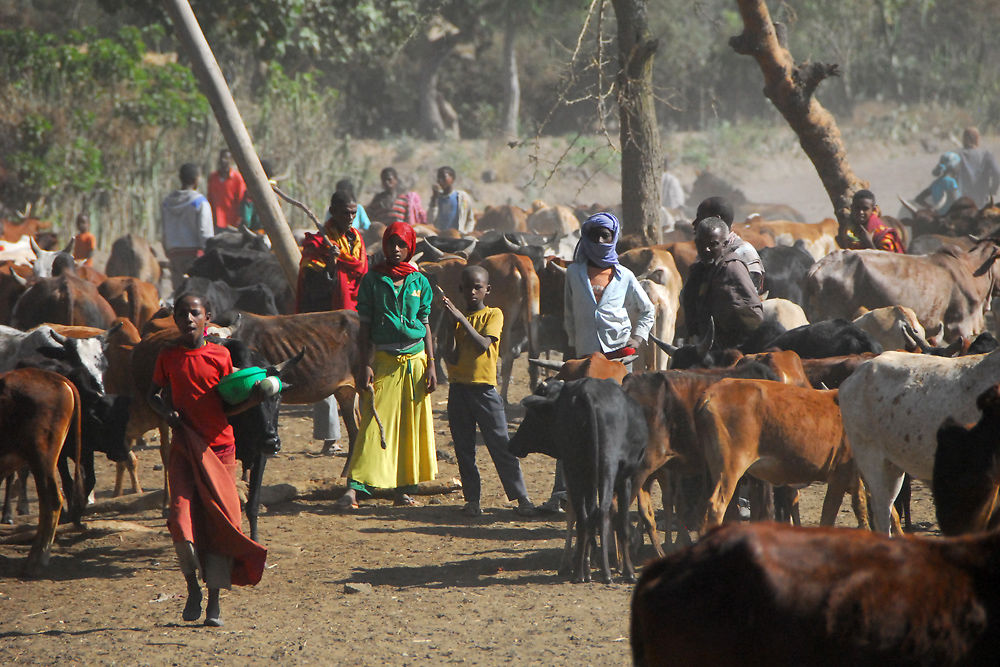 Marché à Goba