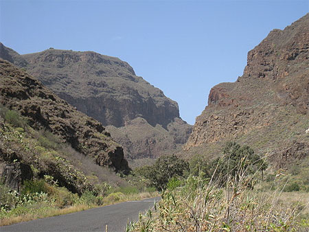 Barranco de Guayadeque Barranco de Guayadeque
