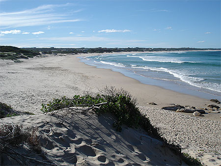 La plage à Cape St. Francis La plage à Cape St. Francis