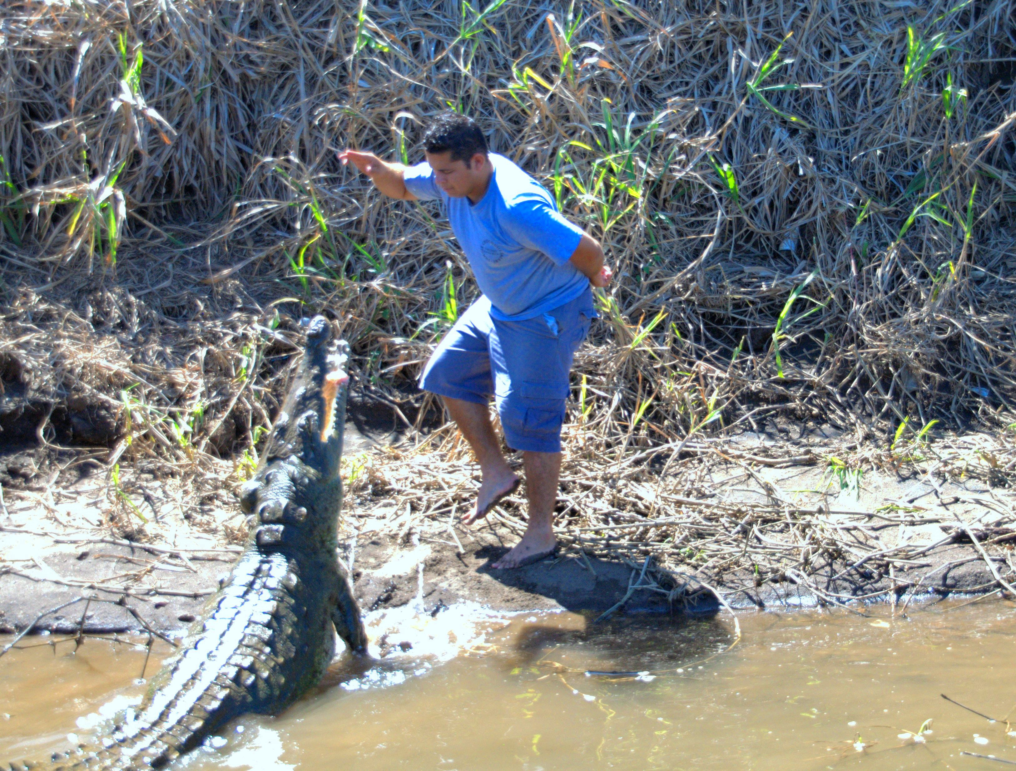 Dompteur de croco Dompteur de croco