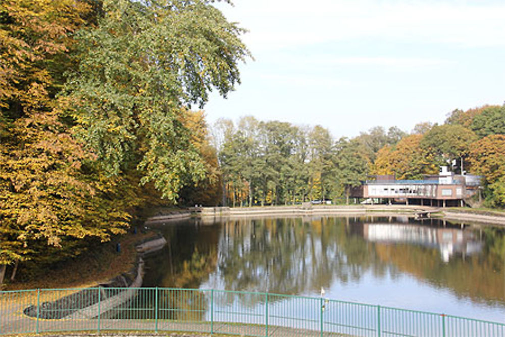 Grand lac de Loverval