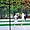 Tennis au jardin du Luxembourg