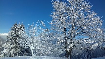 Agy un lendemain de jour de neige