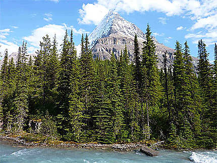 Mont Robson, et rivière du même nom