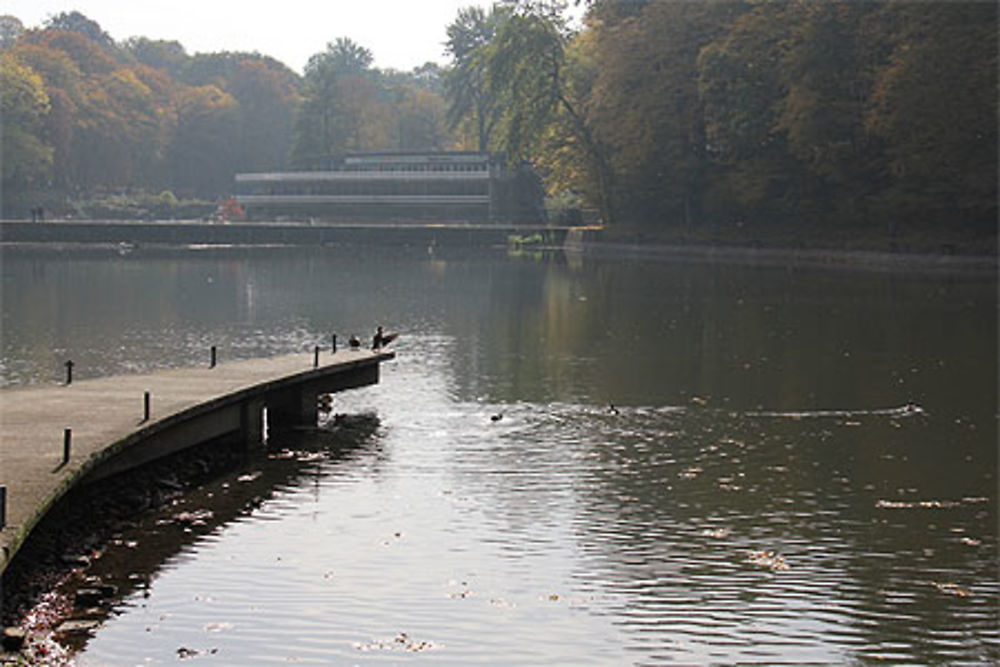 Grand lac de Loverval