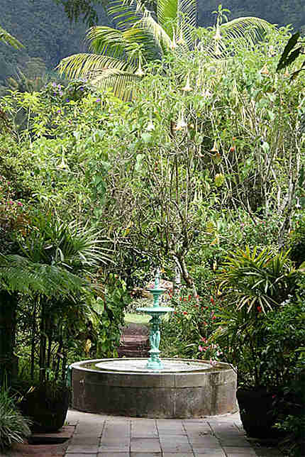 Une fontaine dans le jardin de la maison Folio