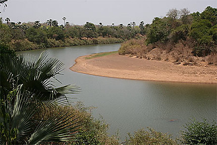 Méandre du fleuve Gambie