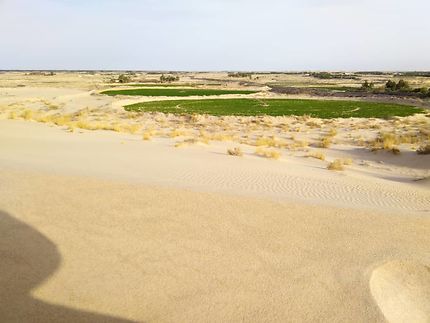 El Oued Souf, désert et culture