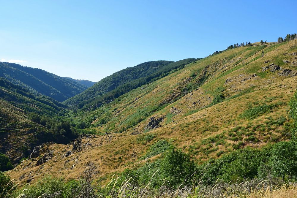 Parc Naturel des Cévennes...