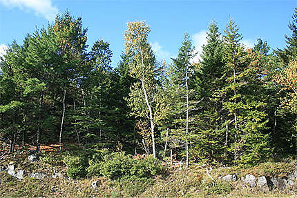 Le Acadia National Park